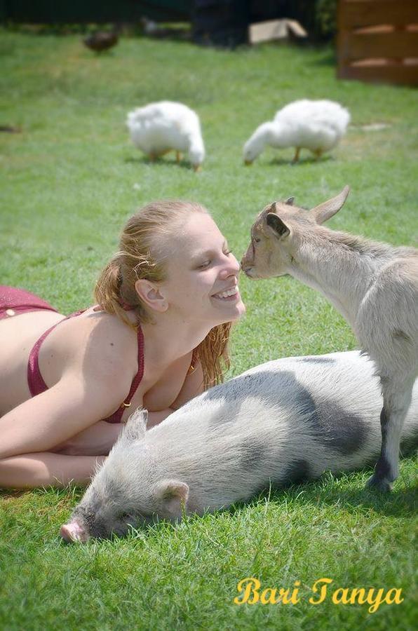 ホテル Bari Tanya Kisnána エクステリア 写真